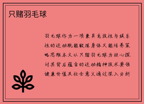 只赌羽毛球