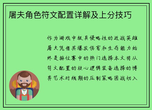 屠夫角色符文配置详解及上分技巧